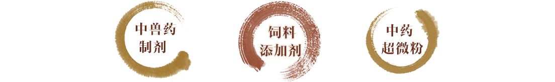 全自動(dòng)吸管生產(chǎn)線(xiàn)